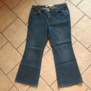 Venezia (Lane Bryant) Petite Flare Jeans